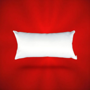 Long Pillowcase and pillow