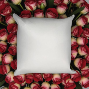 Pillowcase and pillow Black