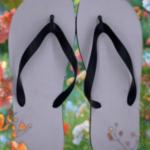Flip Flops